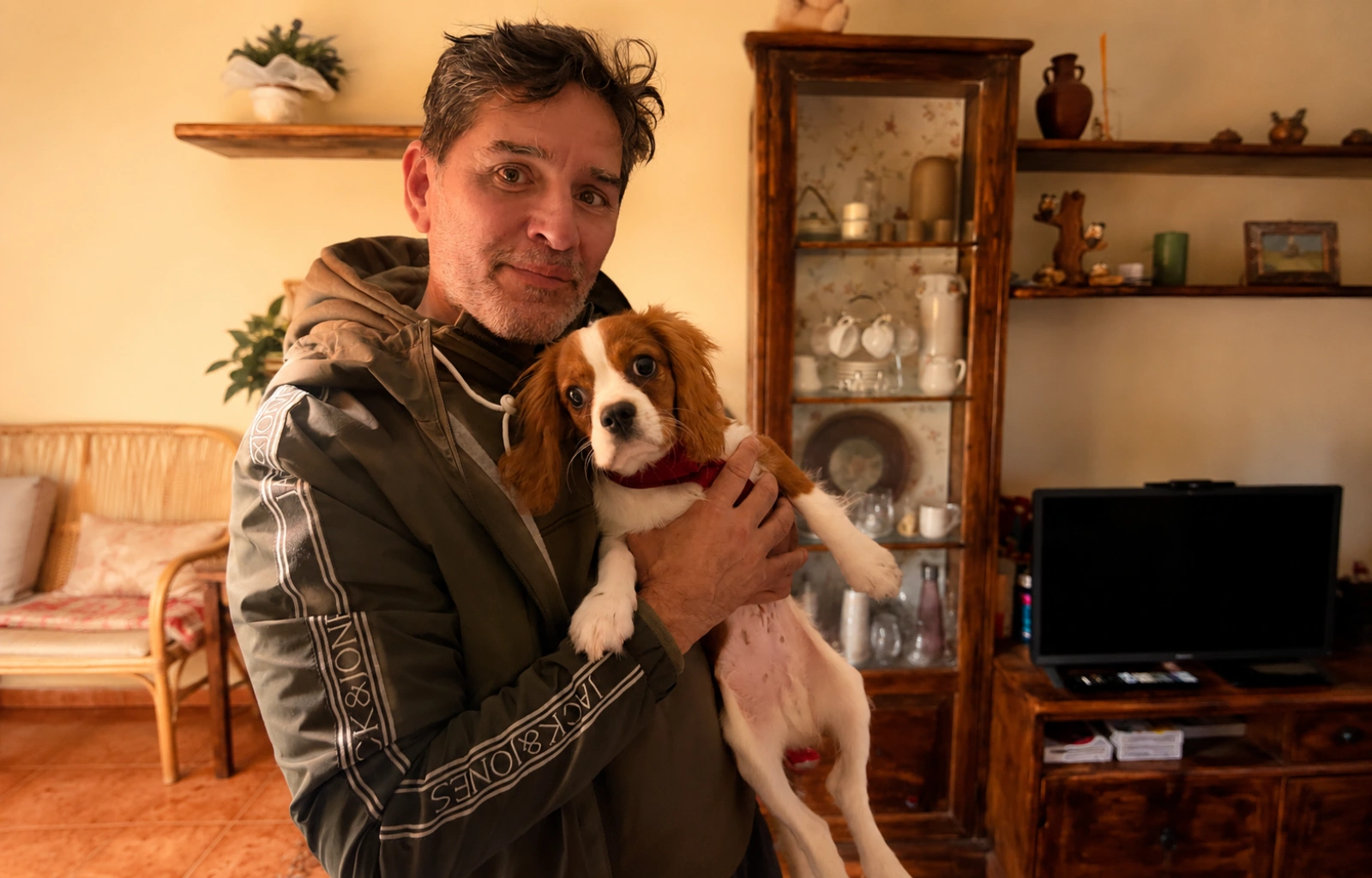 cuando-empezar-la-educacion-de-un-cachorro