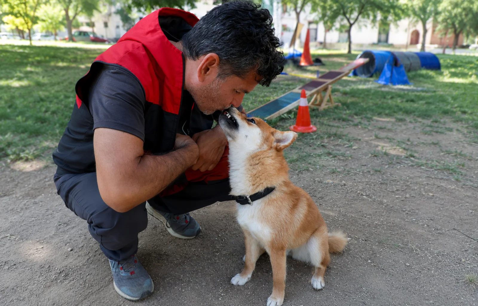 Cómo socializar correctamente un cachorro
