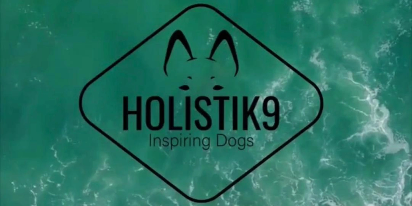 Servicios para perros en Barcelona