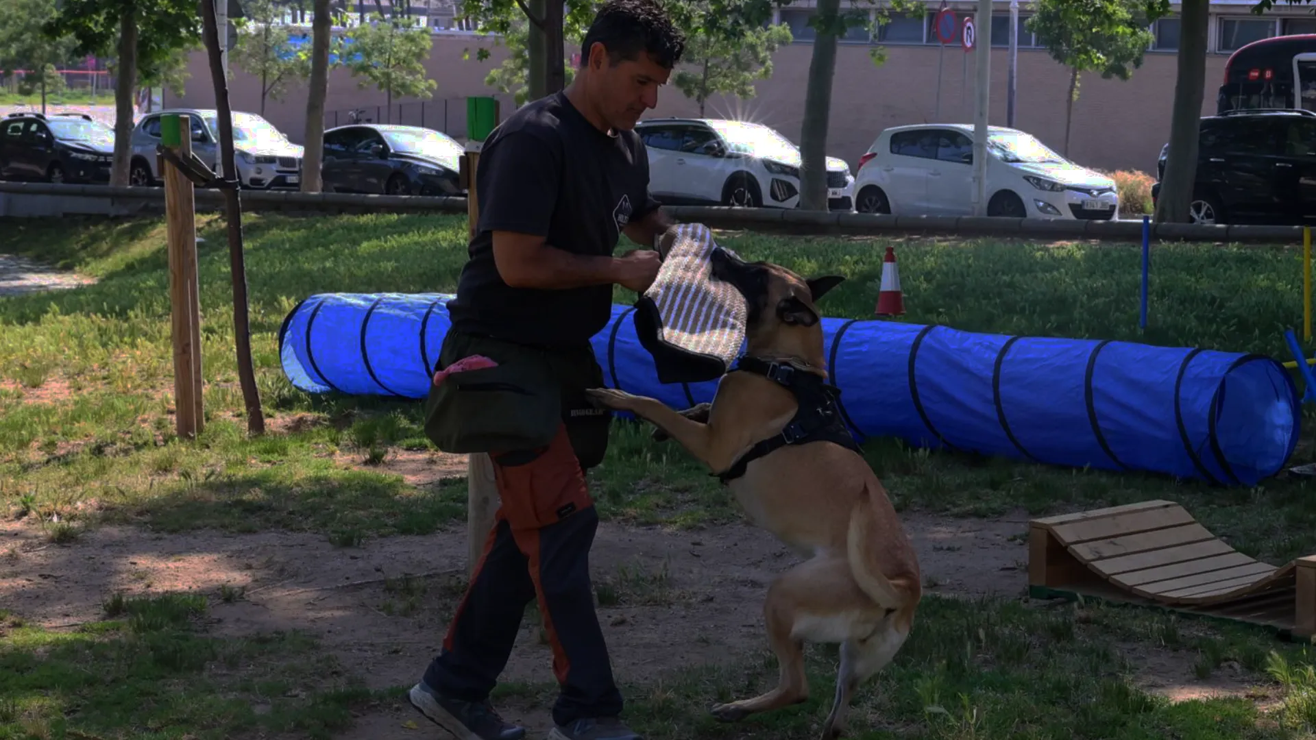 Agility para perros en Barcelona