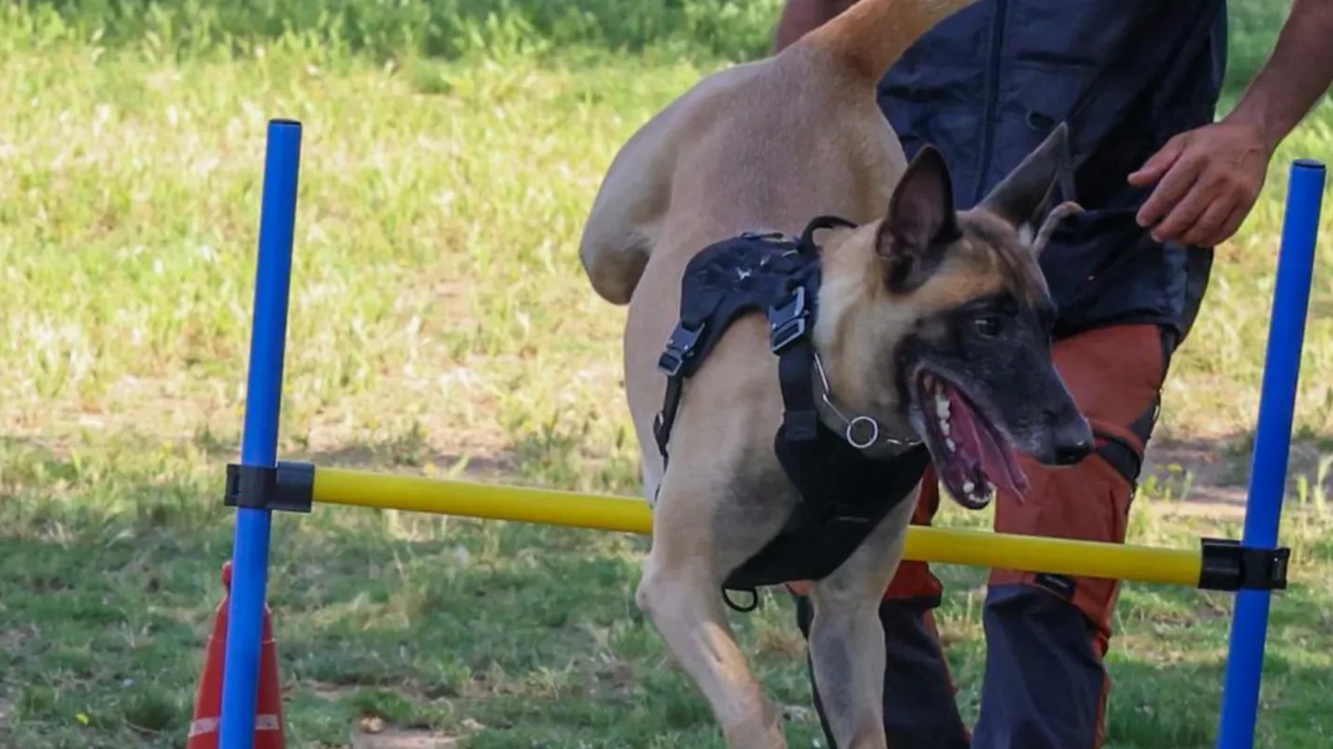 Agility Barcelona